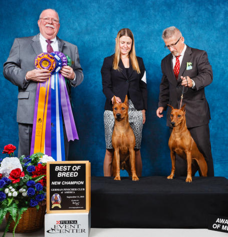 71786 Jill Eastman & Trent Wilkinson with Nelson & Pink at the 2015 GPCA NATIONAL SPECIALTY
