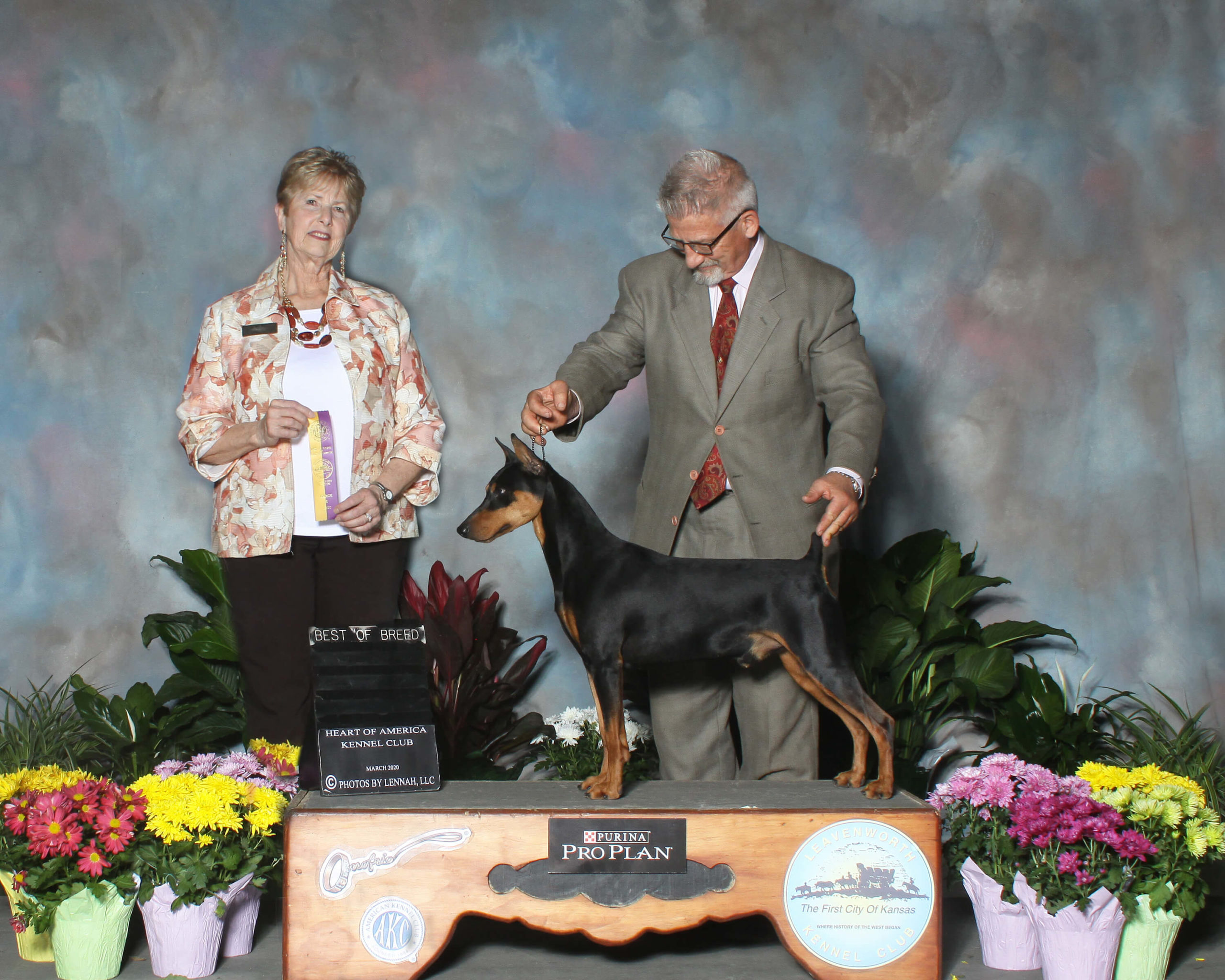 Angus Best of Breed