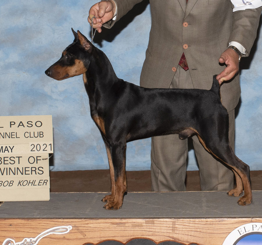 pepper 7 months